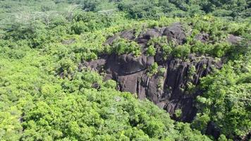 Drone reveal shot of forest and rock boulders on Mahe, Seychelles video