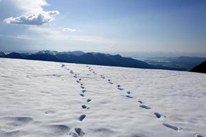 montar roberto Nevado paisaje en tarde primavera foto