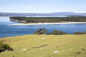 montar maunganui rural paisaje y Matakana isla foto