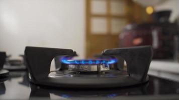 natural gas envenenamiento. el mujer quien olvida el natural gas en, el gas disperso todas terminado el casa y el mujer se desmaya video