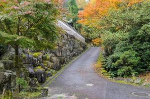 Romantic autumn road in Miyajima, Japan photo