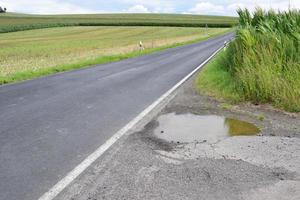 country road with corn field and water in a potole photo