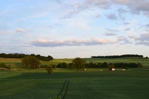 sunset light on green wide fields photo