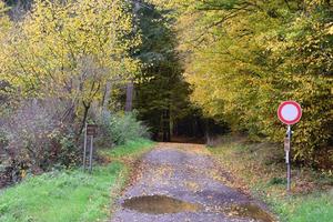 wet dirt road in autumn photo