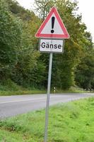 Geese Warning Traffic Sign photo