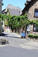 Winningen, Germany, 2022 - quiet Street with Vine photo