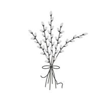 Bouquet of sprigs of willow, verba in texture on white background. Vector flat illustration