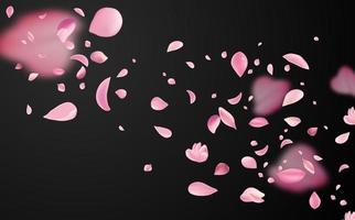 Flying fragile pink and white sakura petals. Symbol of Japanese culture. vector