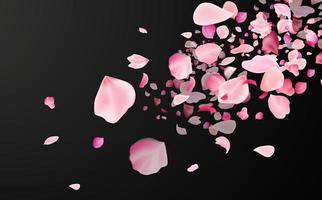 Flying fragile pink and white sakura petals. Symbol of Japanese culture. vector