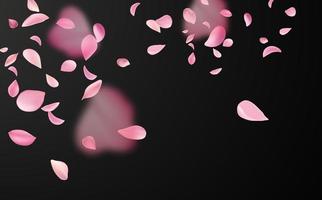 Flying fragile pink and white sakura petals. Symbol of Japanese culture. vector