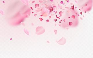 Flying fragile pink and white sakura petals. Symbol of Japanese culture. vector