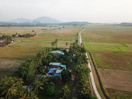 Traditional Malays village beside paddy field photo