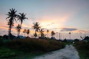 Sunset of little Malays village surrounded by coconut trees at Penang photo