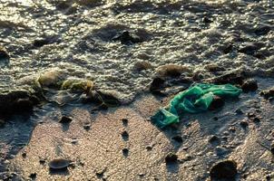 Green plastic at sea photo