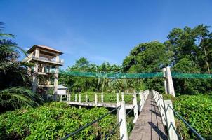 Suspension bridge at Air Hitam Dalam Educational Forest at Penang, Malaysia photo