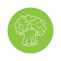 broccoli icon vector