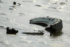 Old car tire in mud photo