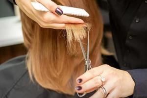 Hairdresser cuts tips female hair photo