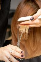 Hairdresser cuts tips female hair photo