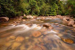 Slow motion water flow at recreational forest area Sungai Sedim photo