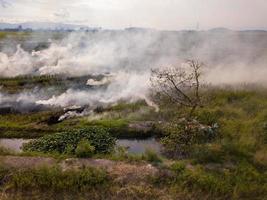 abierto fuego a arrozal campo foto