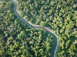 Aerial view lush green woodland photo