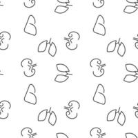 Seamless pattern of kidneys. Suitable for shops, web sites and applications, media, backgrounds vector