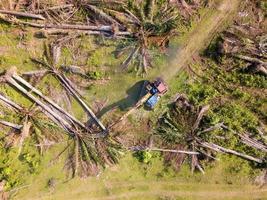 Top down view excavator remove the oil palm photo