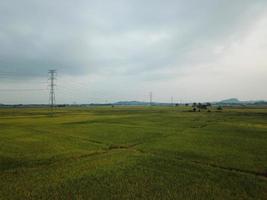 Aerial view agricultural paddy field photo