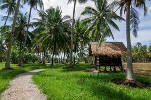 A path toward wooden hut photo