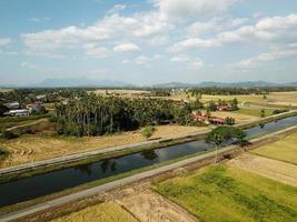 Paddy field at Malays kampung photo