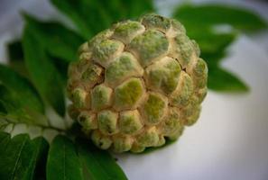 Custard Apple Close Up photo