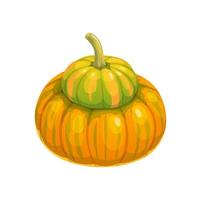 Cartoon raw pumpkin, isolated vector ripe plant