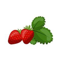 Berry strawberry on a colorless background in a cartoon style. vector