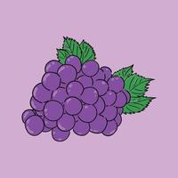 bunch grape purple with leaf fruit vector illustration