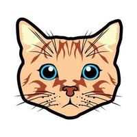 gato cara linda imagen vector ilustraciones