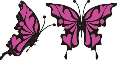 butterfly on white background vector image illustrations