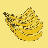 yellow banana fruit vector illustration