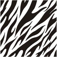 Zebra pattern vector image illustrations