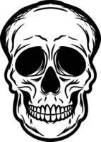 Skull head crossbones vector image illustrations