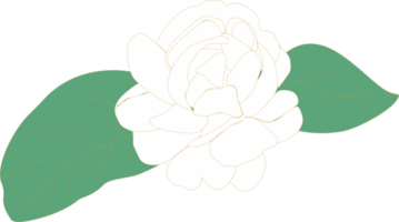 Jasmine flower mother's day icon png