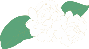 Jasmine flower mother's day icon PNG