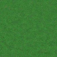 Green grass texture can be use as background photo