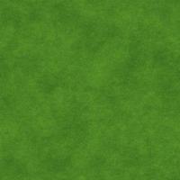 Green grass texture can be use as background photo