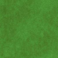 Green grass texture can be use as background photo