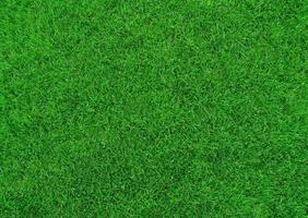 Green grass texture can be use as background photo