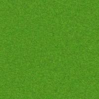 Green grass texture can be use as background photo