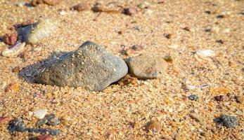 The sandy beach by the sea is a sight to behold. with soft golden sand Makes you feel refreshed and rejuvenated. Sandy beaches, shells and rocks make beach beautiful in nature. good place to relax photo