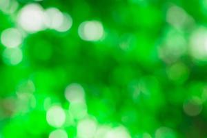 Blurred light  bokeh abstract green background photo