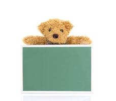 Teddy bear with empty green board photo